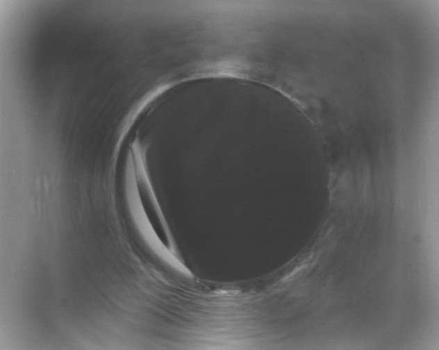 X0000068260200200605121829