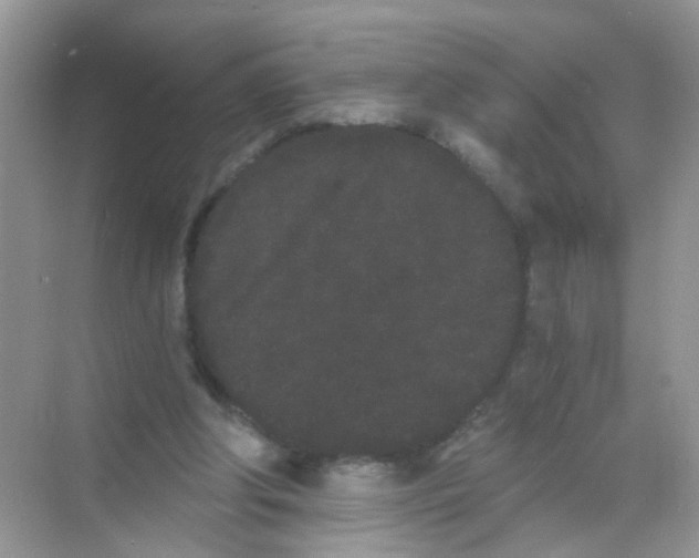 X0000068260202200605121829