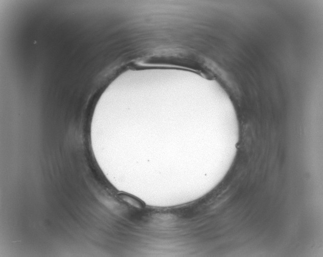 X0000068260203200605121829