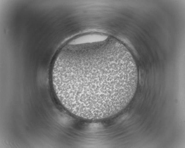 X0000068260204200605121829