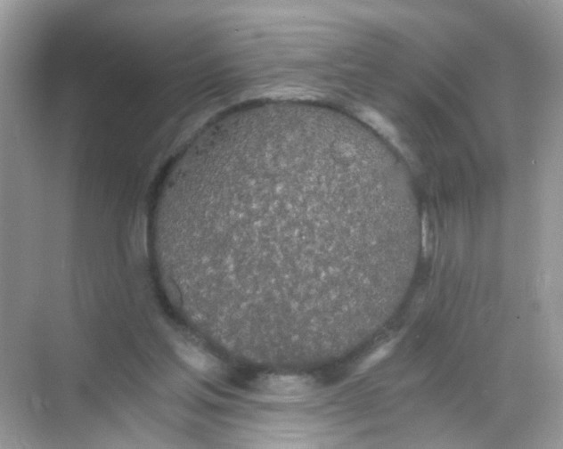 X0000068260205200605121829