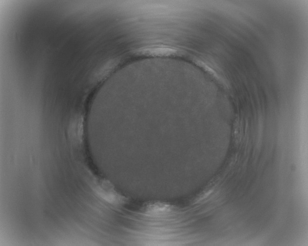 X0000068260206200605121829