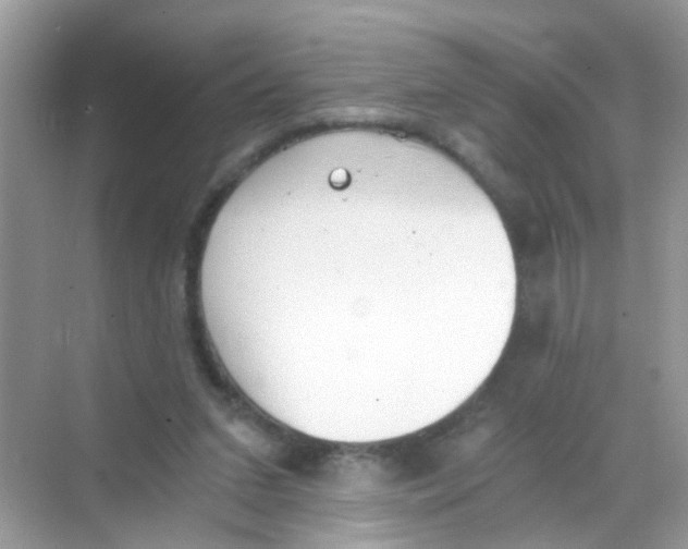 X0000068260207200605121829