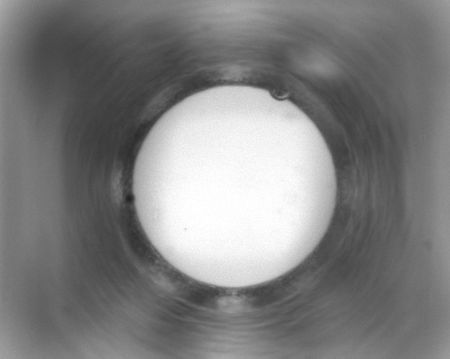 X0000068260216200605121828