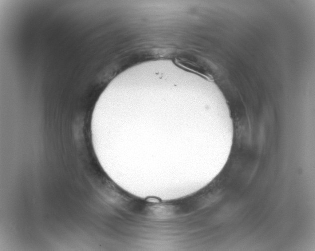 X0000068260221200605121828