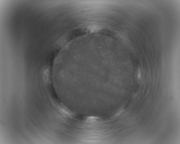 X0000068260222200605121828