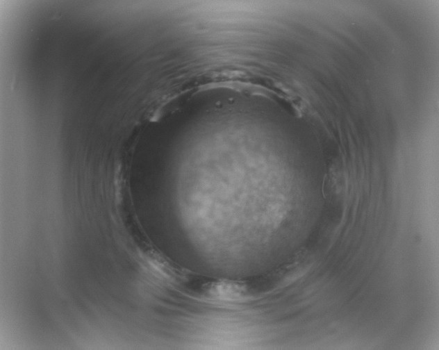 X0000068260223200605121828