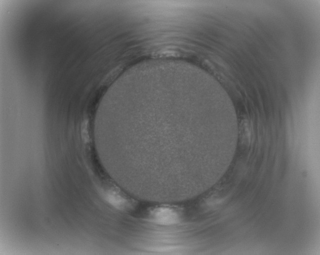 X0000068260224200605121828