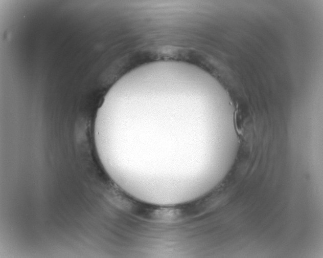 X0000068260225200605121828