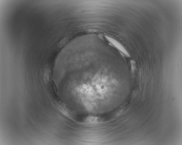 X0000068260227200605121828