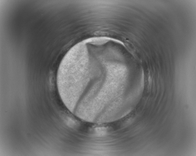 X0000068260228200605121828