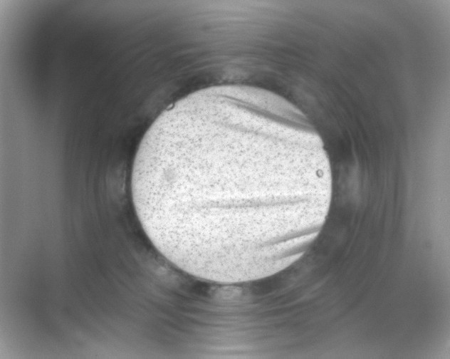 X0000068260230200605121828