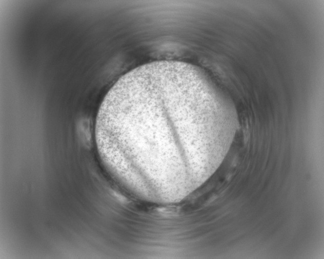 X0000068260232200605121828