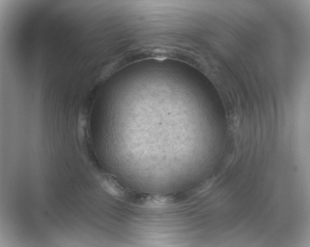 X0000068260235200605121828