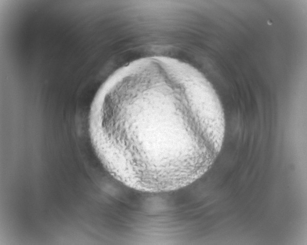 X0000068260236200605121828