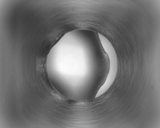 X0000068260237200605121828