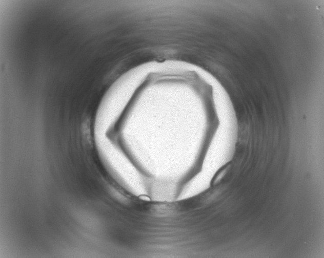 X0000068260238200605121828