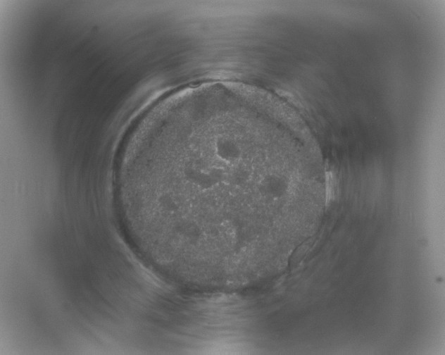 X0000068260243200605121827