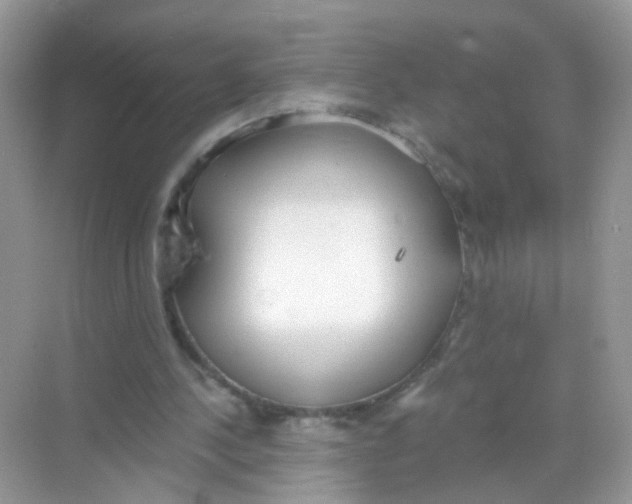 X0000068260244200605121827