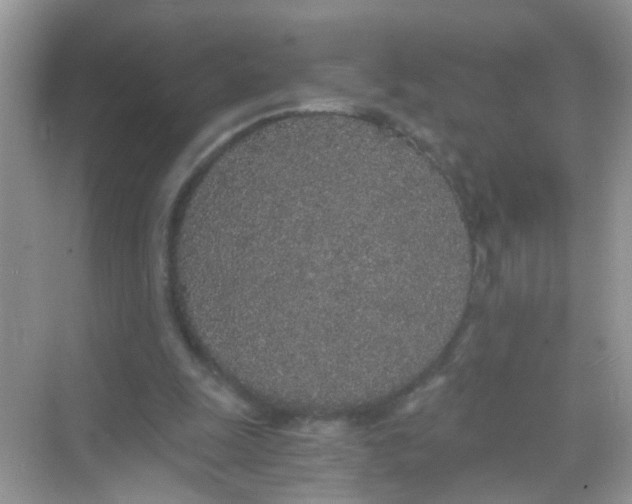 X0000068260247200605121827