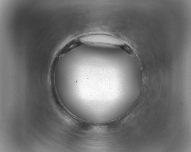 X0000068260248200605121827