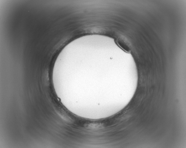 X0000068260251200605121827