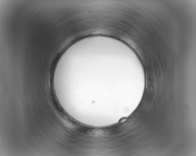 X0000068260253200605121827