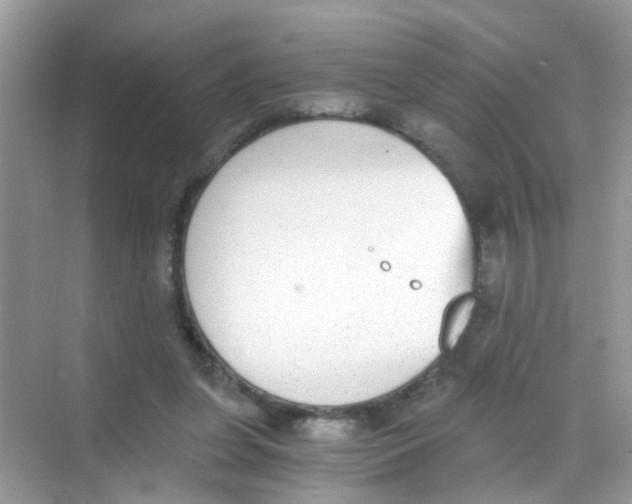 X0000068260255200605121827