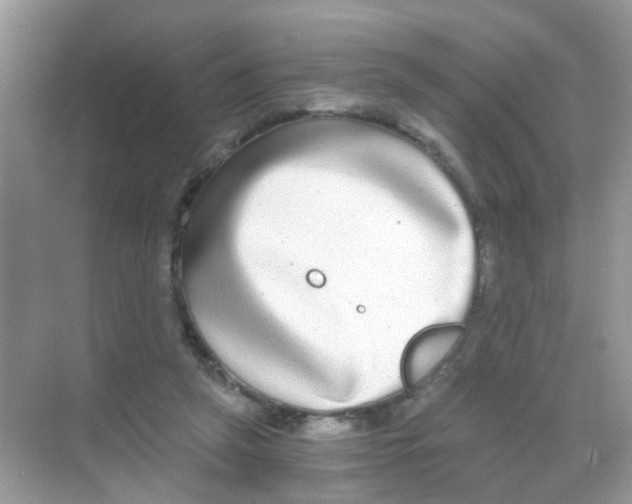 X0000068260257200605121828