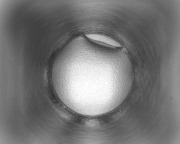 X0000068260258200605121828