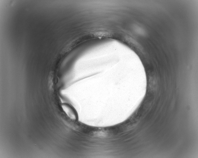 X0000068260259200605121828