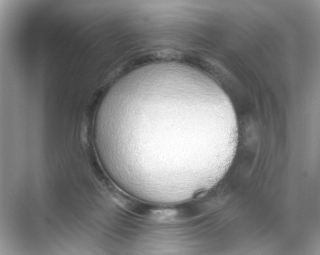 X0000068260266200605121828