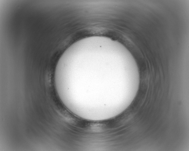 X0000068260268200605121828