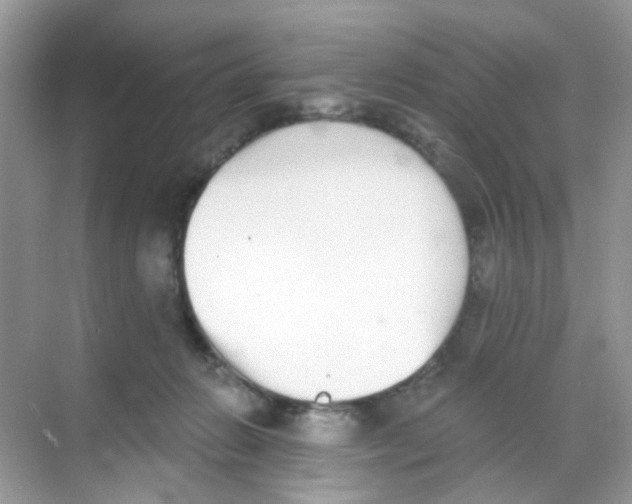 X0000068260270200605121828