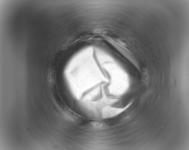 X0000068260272200605121828