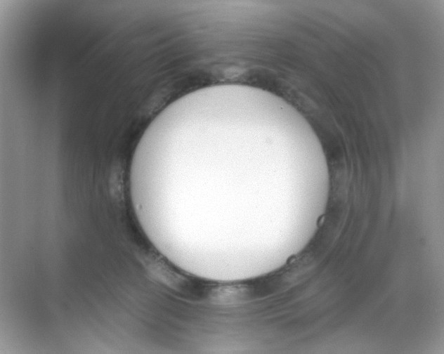 X0000068260274200605121828