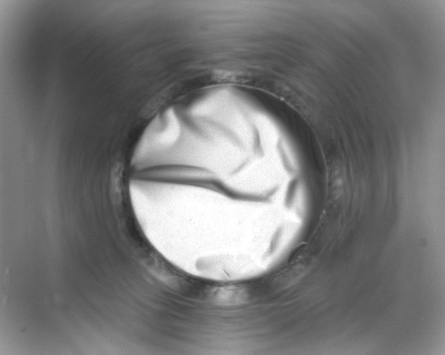 X0000068260275200605121828