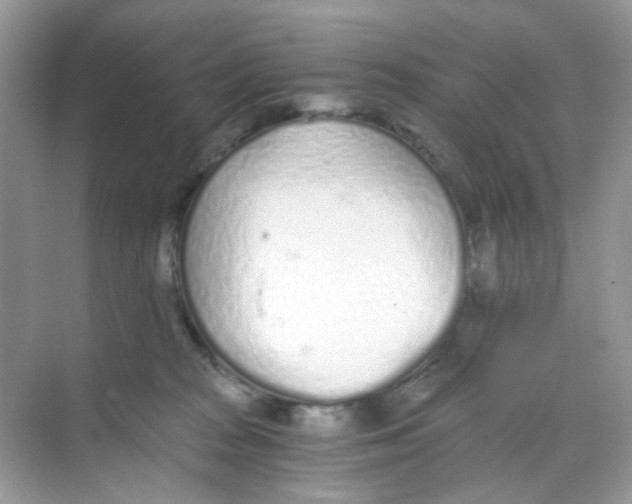 X0000068260277200605121828