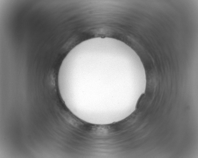 X0000068260282200605121828