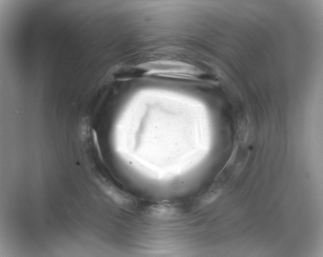 X0000068260284200605121828