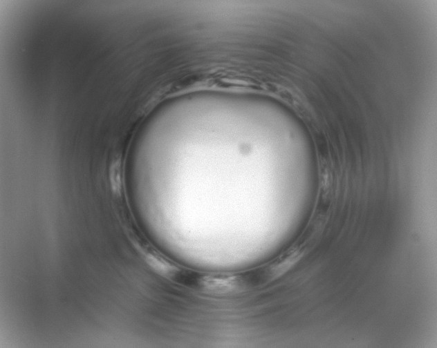 X0000068260285200605121828