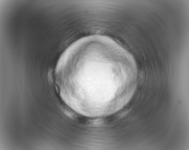 X0000068260286200605121828