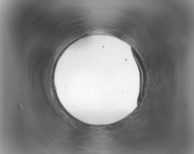 X0000068260289200605121827