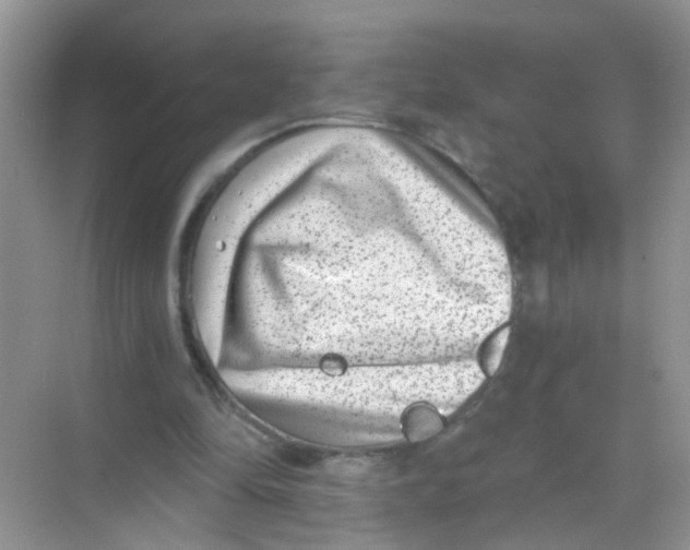 X0000068260294200605121827