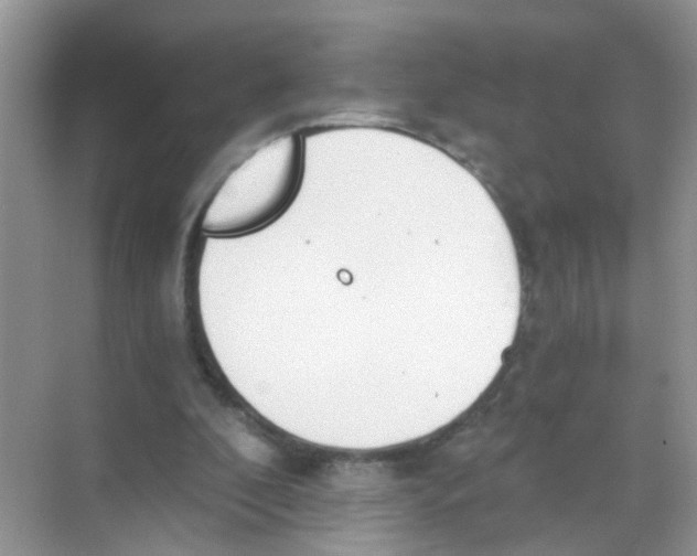 X0000068260296200605121827