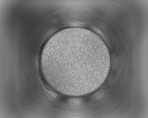 X0000068260299200605121827