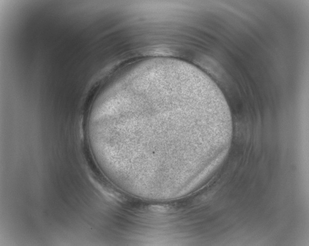 X0000068260302200605121827