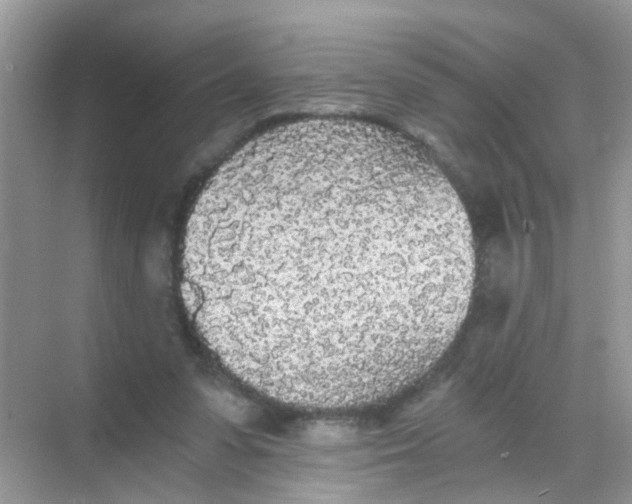 X0000068260303200605121827