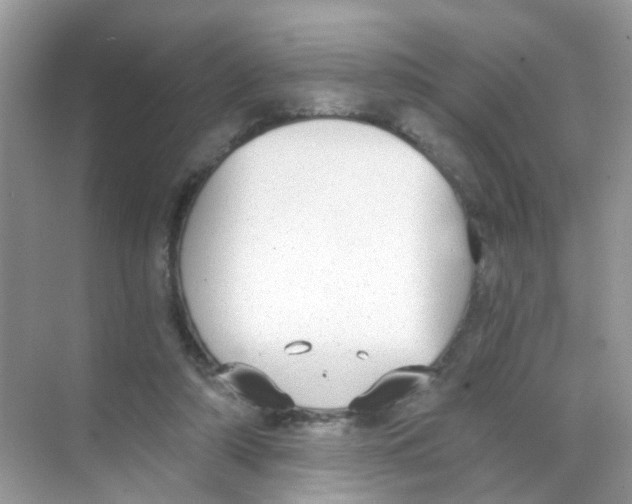 X0000068260306200605121827