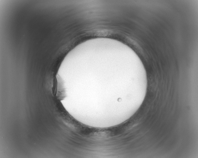 X0000068260307200605121827